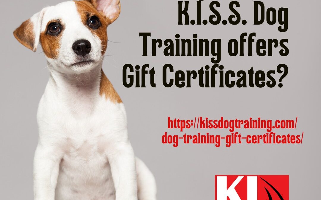 Kiss Dog Trainng